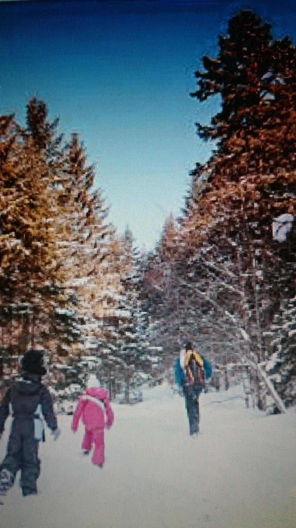 ホテル A La Grenouille Du Jura ベリニャ エクステリア 写真